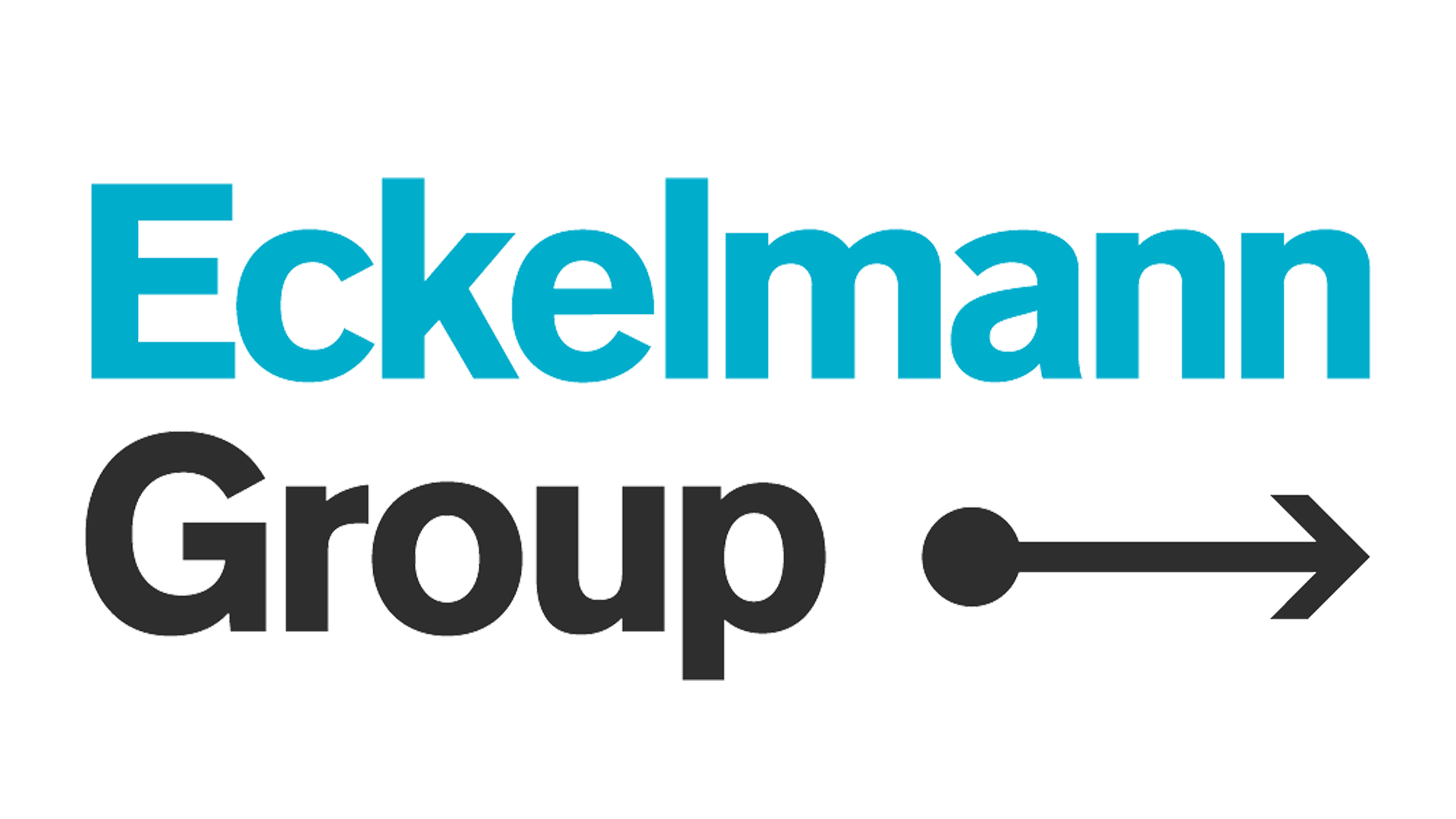 Eckelmann Group