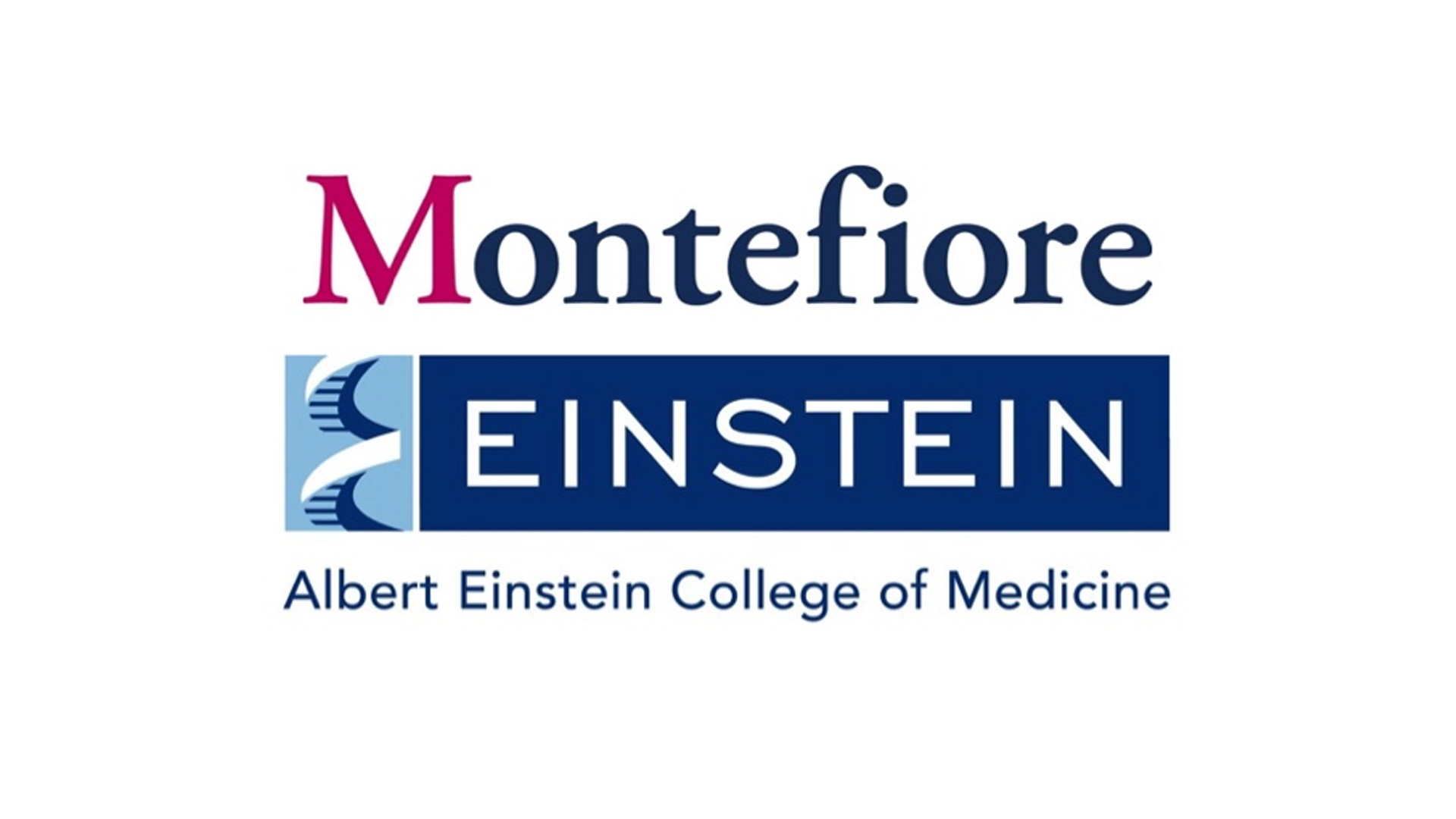 Einstein/Montefiore Department of Medicine