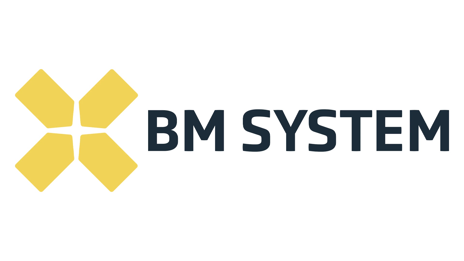 BM Systems