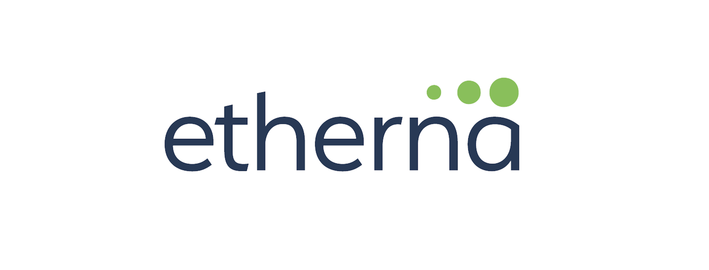 etherna manufacturing
