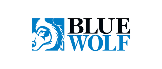 Blue Wolf Capital Partners