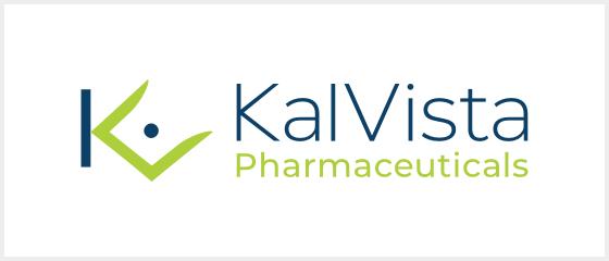 KalVista Pharmaceuticals Provides Update on Diabetic Macular Edema Programs